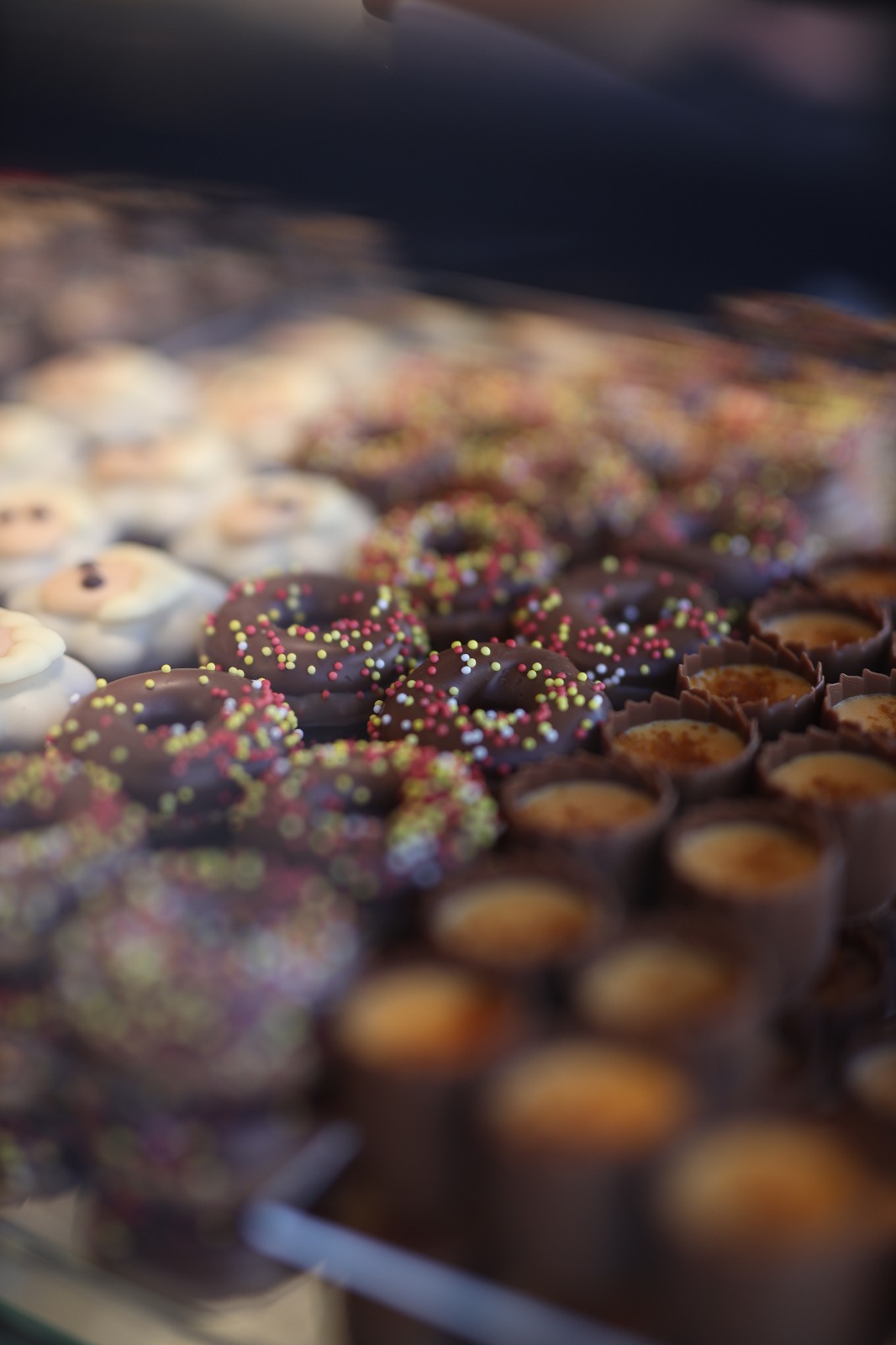 WhatsApp Image 2020-07-28 at 5.40.49 PM.jpeg.jpeg